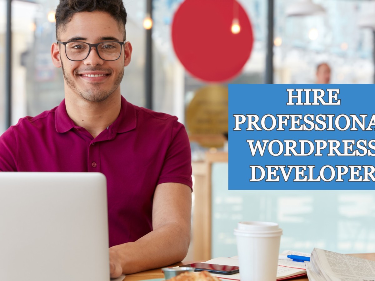 Hire Professional WordPress Developer to Develop your eCommerce Website